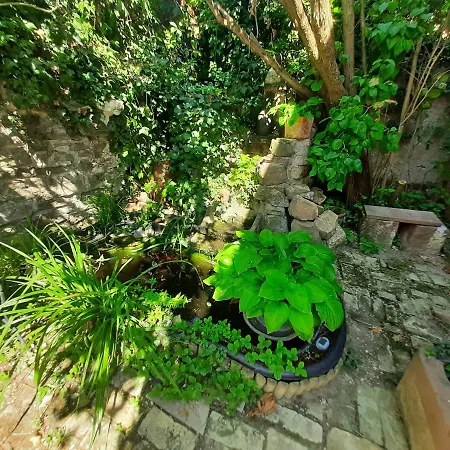 Apartment Confort 2 Personnes Au Coeur De L'alsace