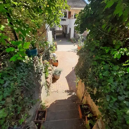Apartman Confort 2 Personnes Au Coeur De L'alsace Wolxheim
