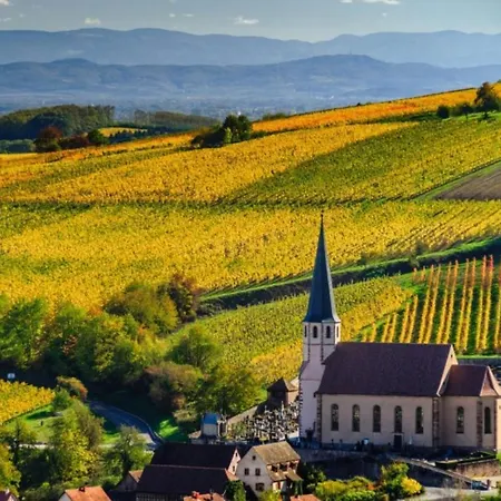 Confort 2 Personnes Au Coeur De L'alsace * Wolxheim