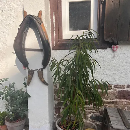 Confort 2 Personnes Au Coeur De L'alsace